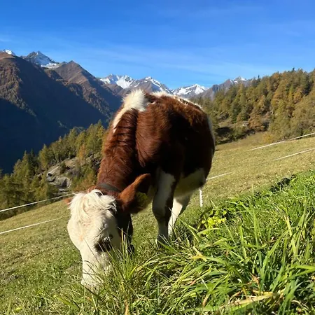 Vakantieboerderij Angstingerhof - Familie Islitzer *
