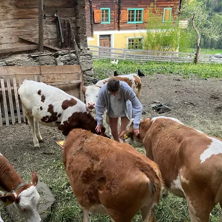 Vakantieboerderij Angstingerhof - Familie Islitzer *